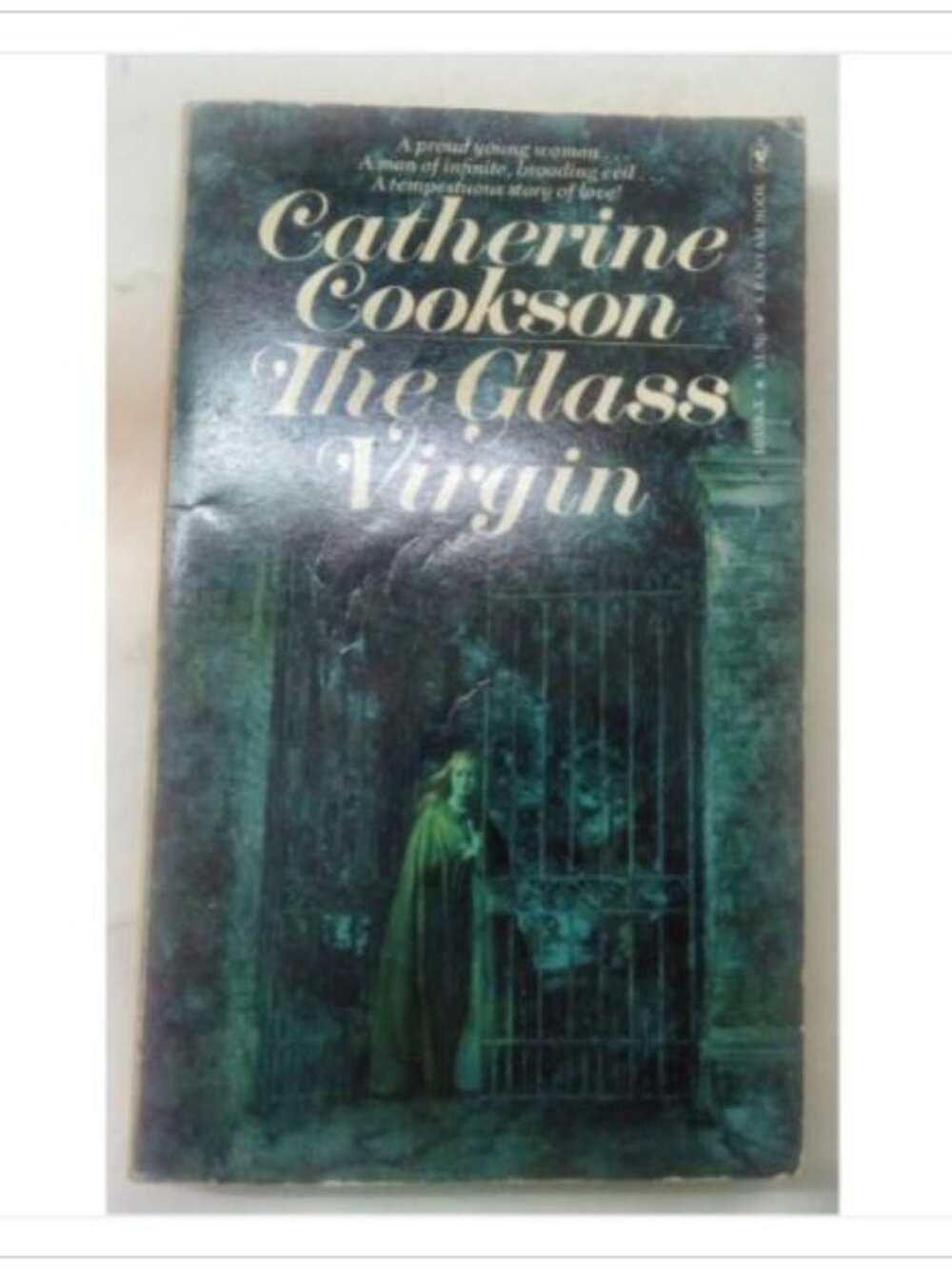 The Glass Virgin A Proud Young Woman Fiction Bantam Books 1970 PB